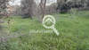 Image 15 of 16