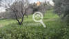 Image 6 of 16