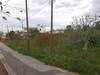 Image 9 of 12