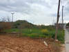 Image 7 of 12