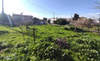 Image 4 of 12