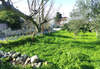 Image 5 of 12