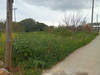 Image 11 of 12
