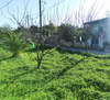 Image 3 of 12