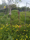 Image 10 of 12