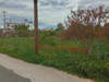Image 8 of 12