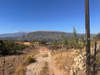 Image 7 of 8