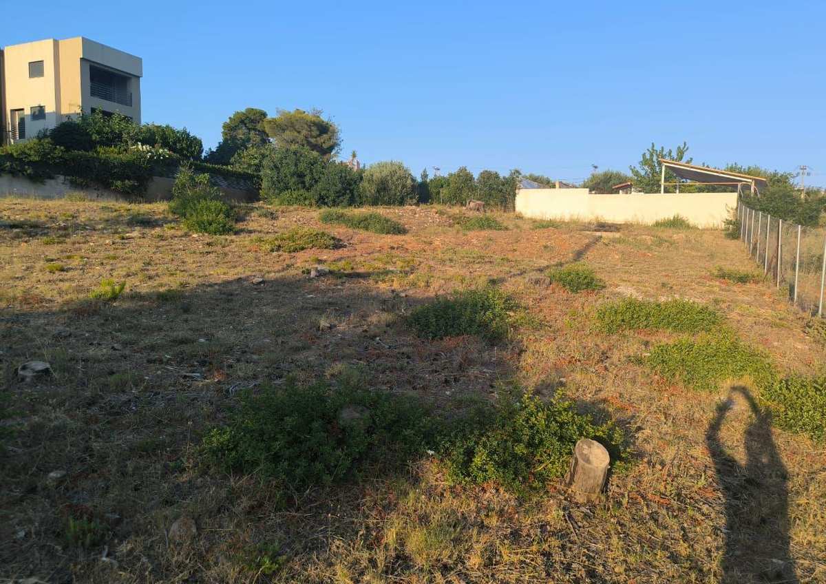 Property thumbnail 3