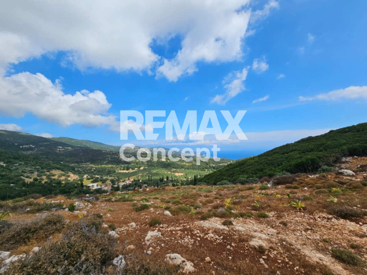 Property thumbnail 3