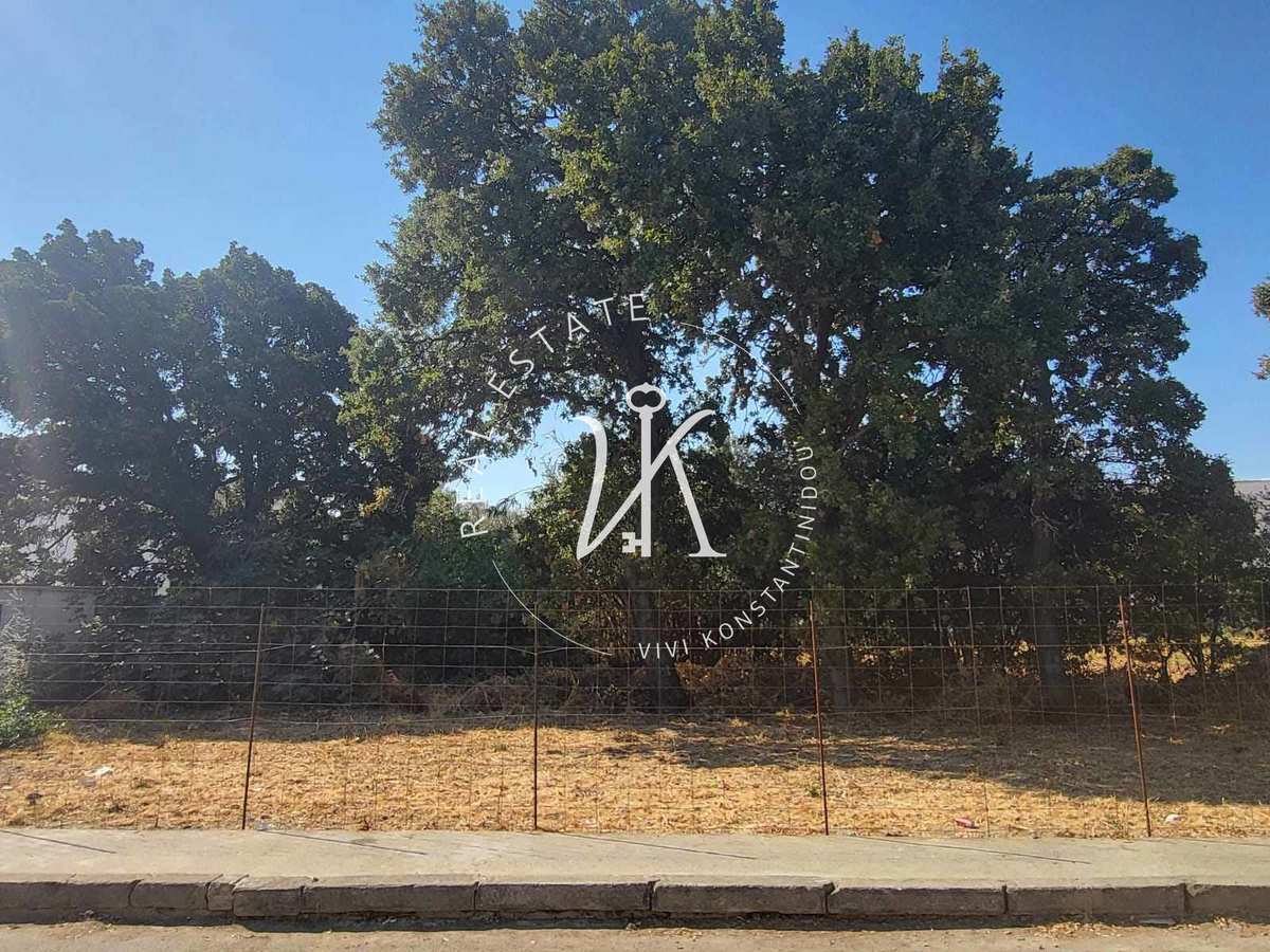 Property thumbnail 3