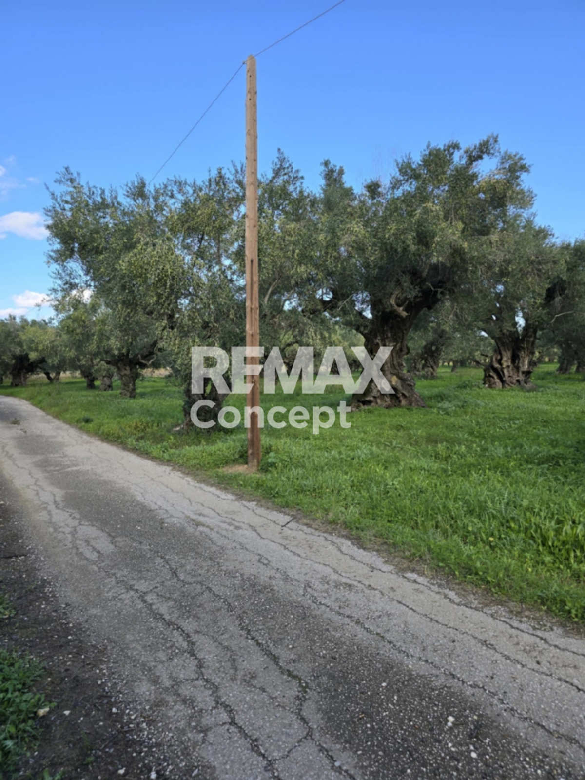 Property thumbnail 3