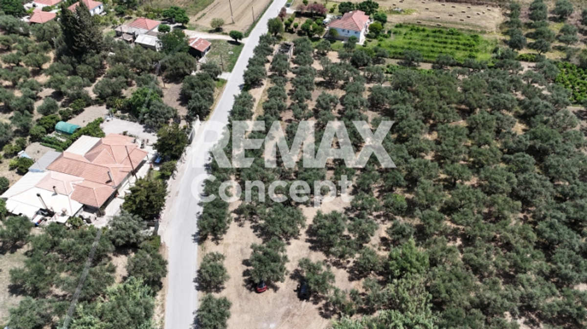 Property thumbnail 4