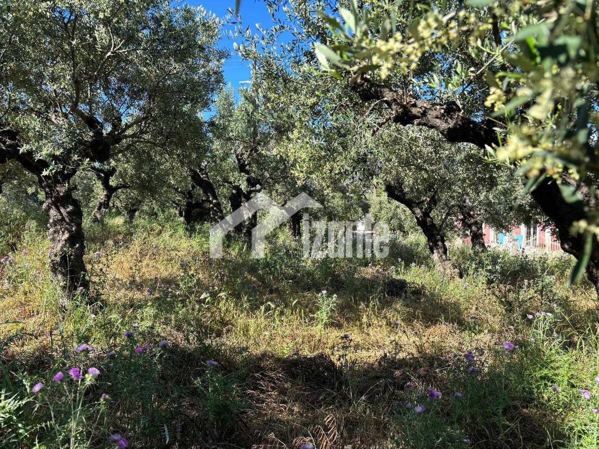 Property thumbnail 2
