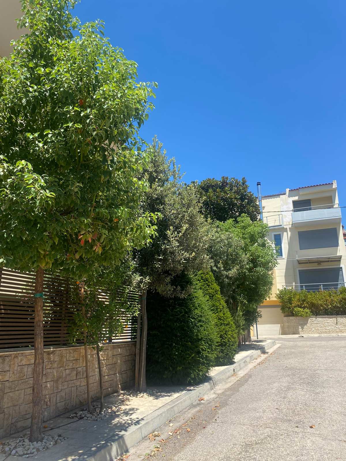 Property thumbnail 3