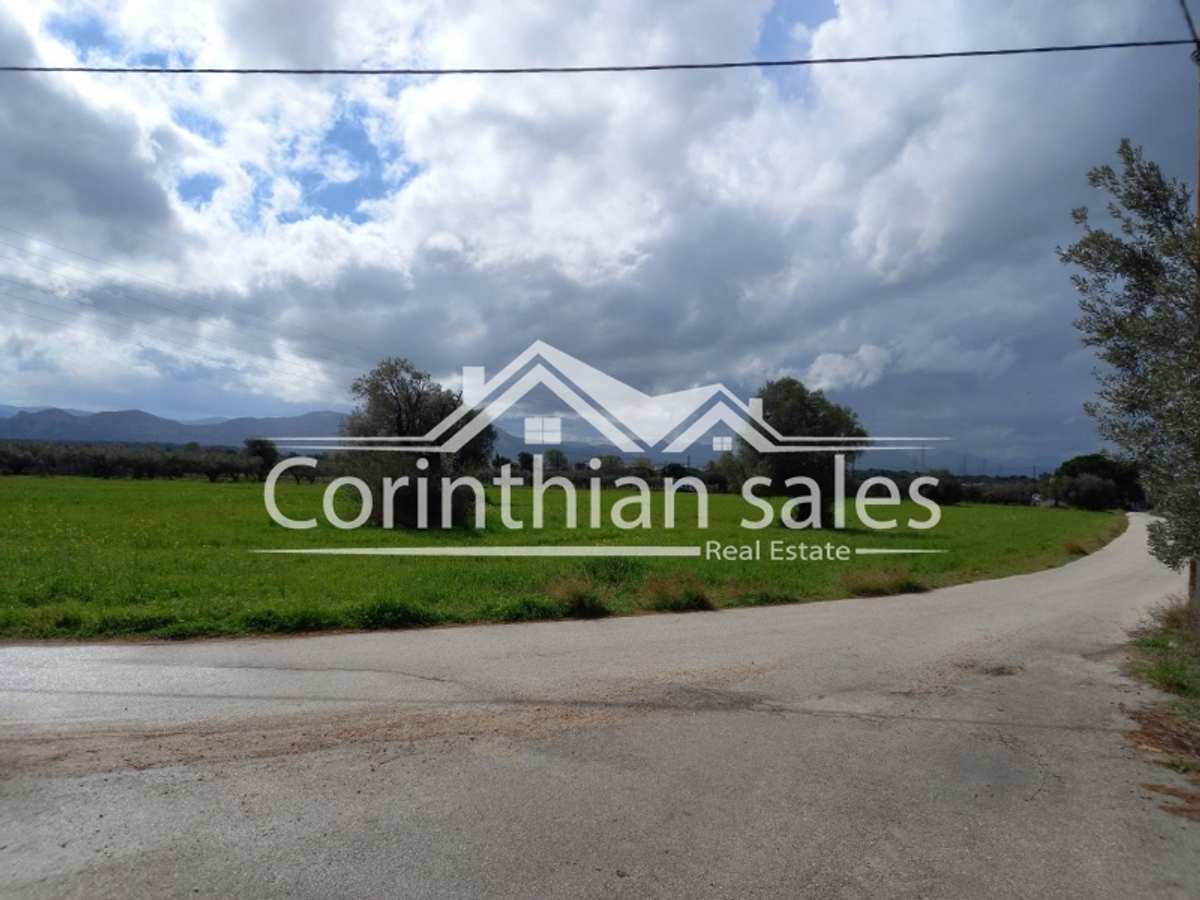 Property thumbnail 4