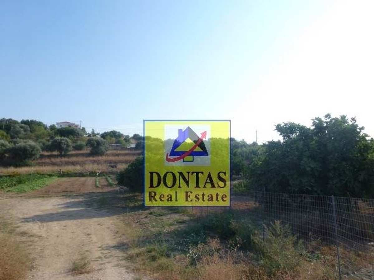 Property thumbnail 3