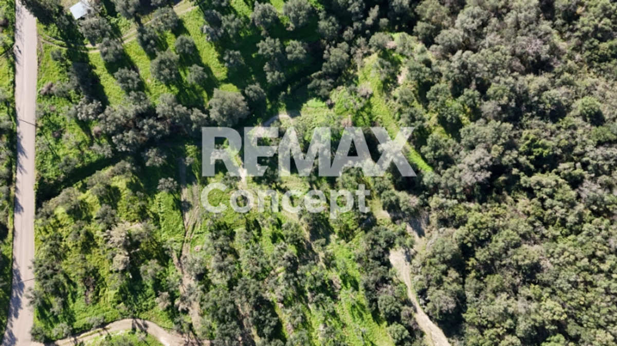 Property thumbnail 3