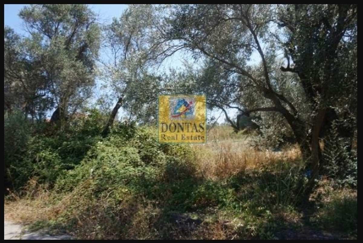 Property thumbnail 4
