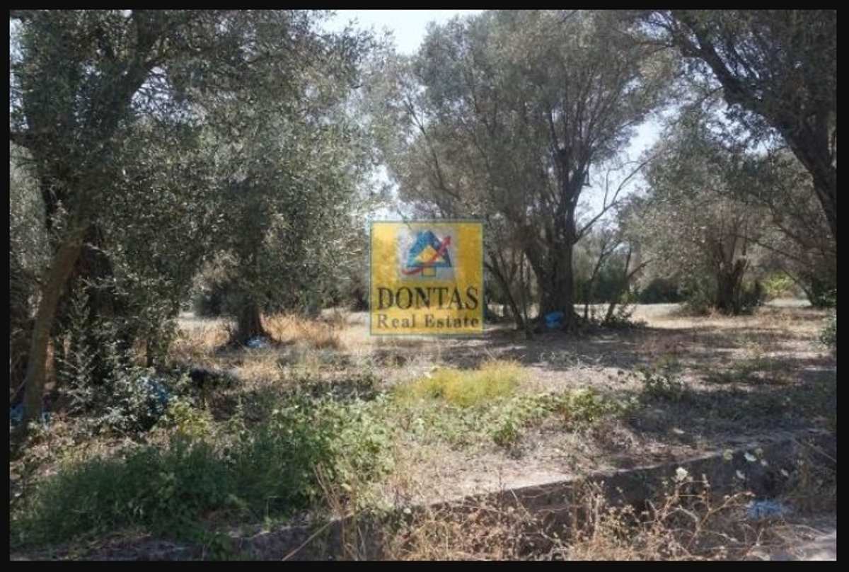 Property thumbnail 3