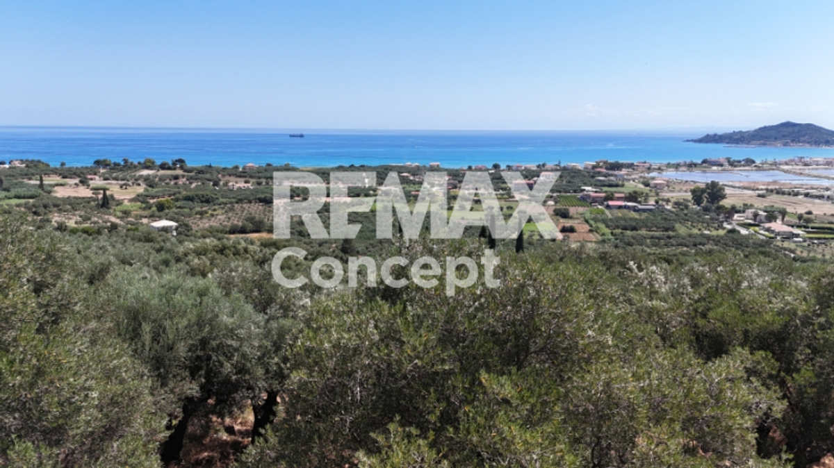 Property thumbnail 4