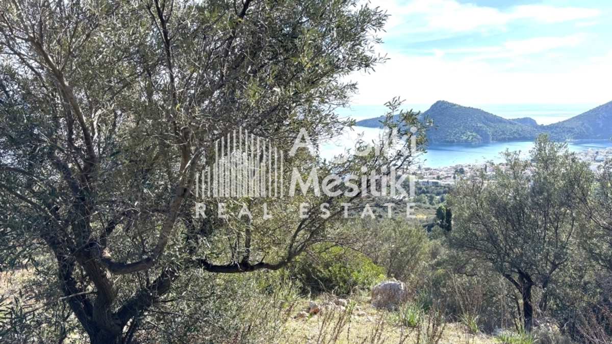 Property thumbnail 3