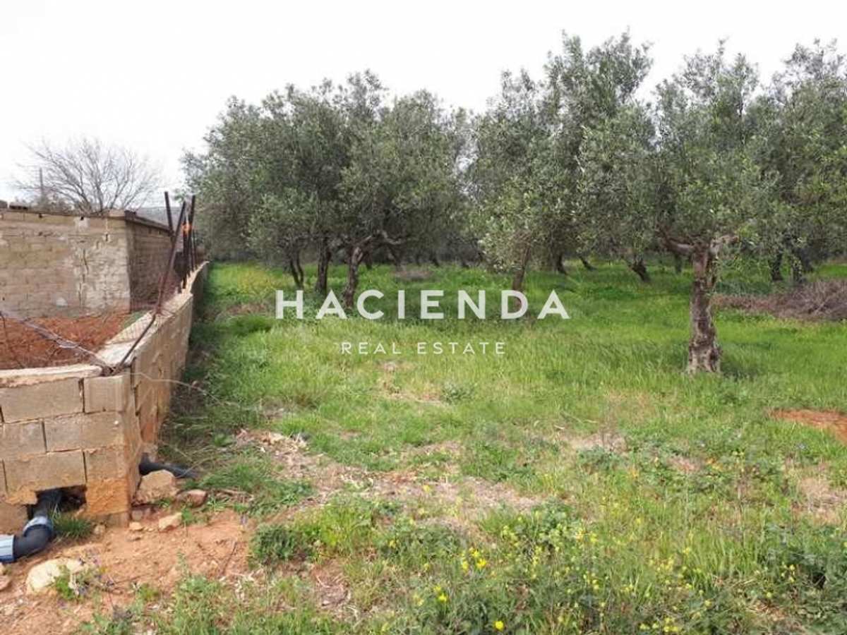 Property thumbnail 3