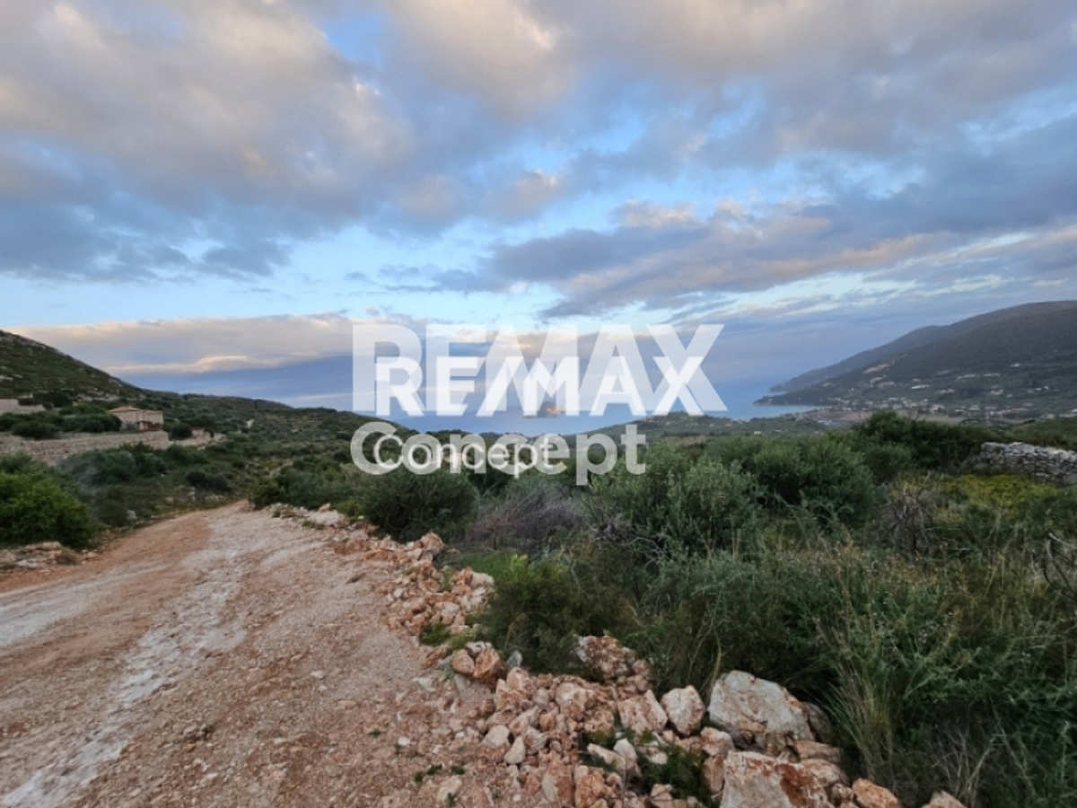 Property thumbnail 4