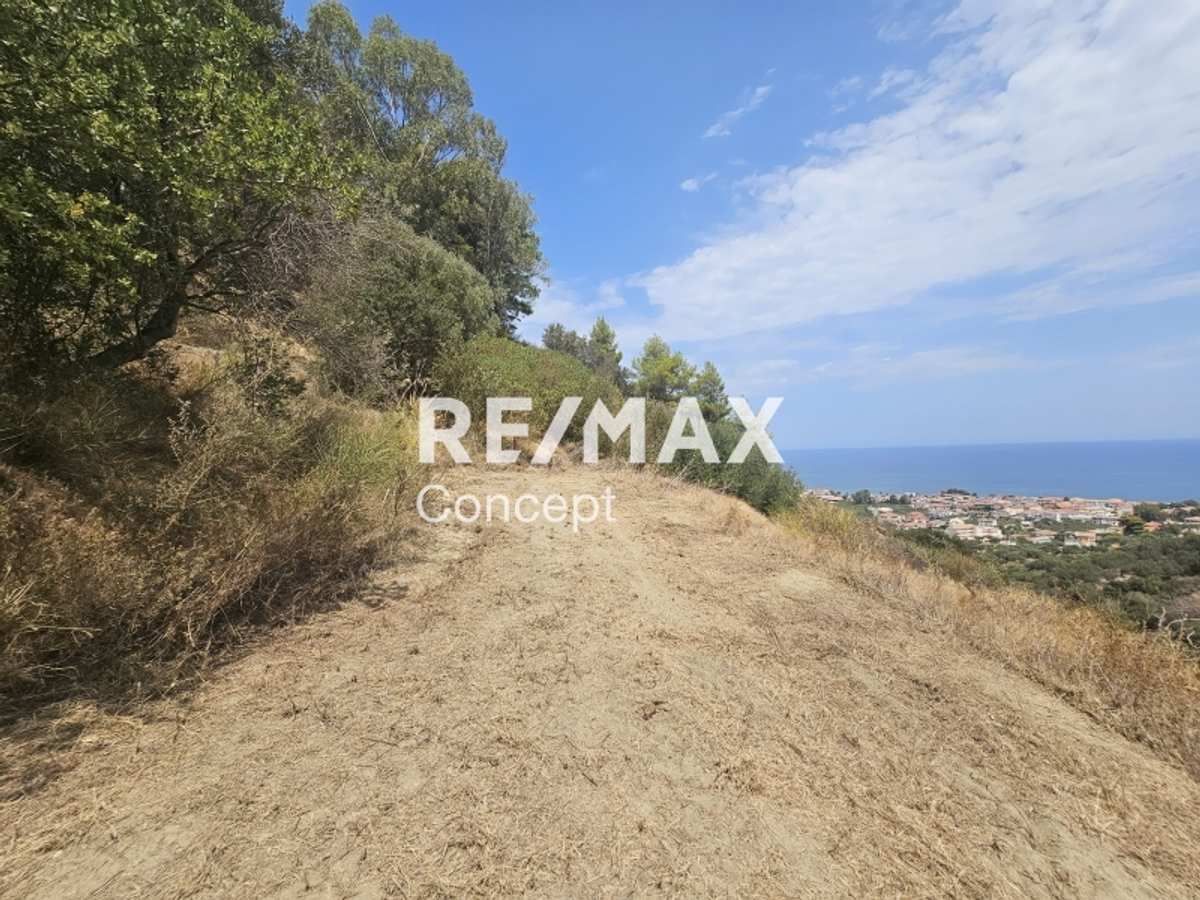 Property thumbnail 3