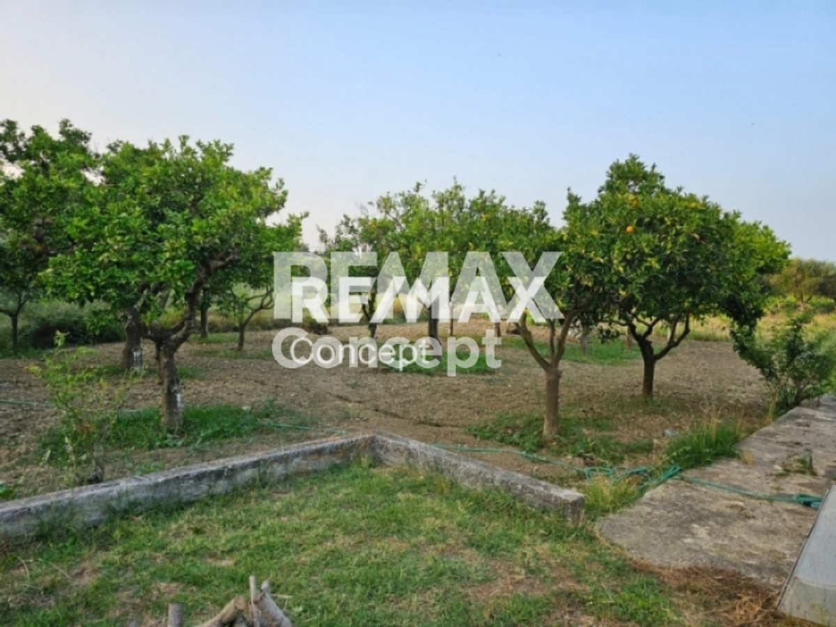 Property thumbnail 4