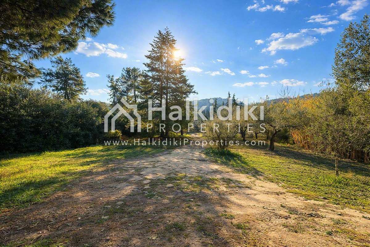 Property thumbnail 3