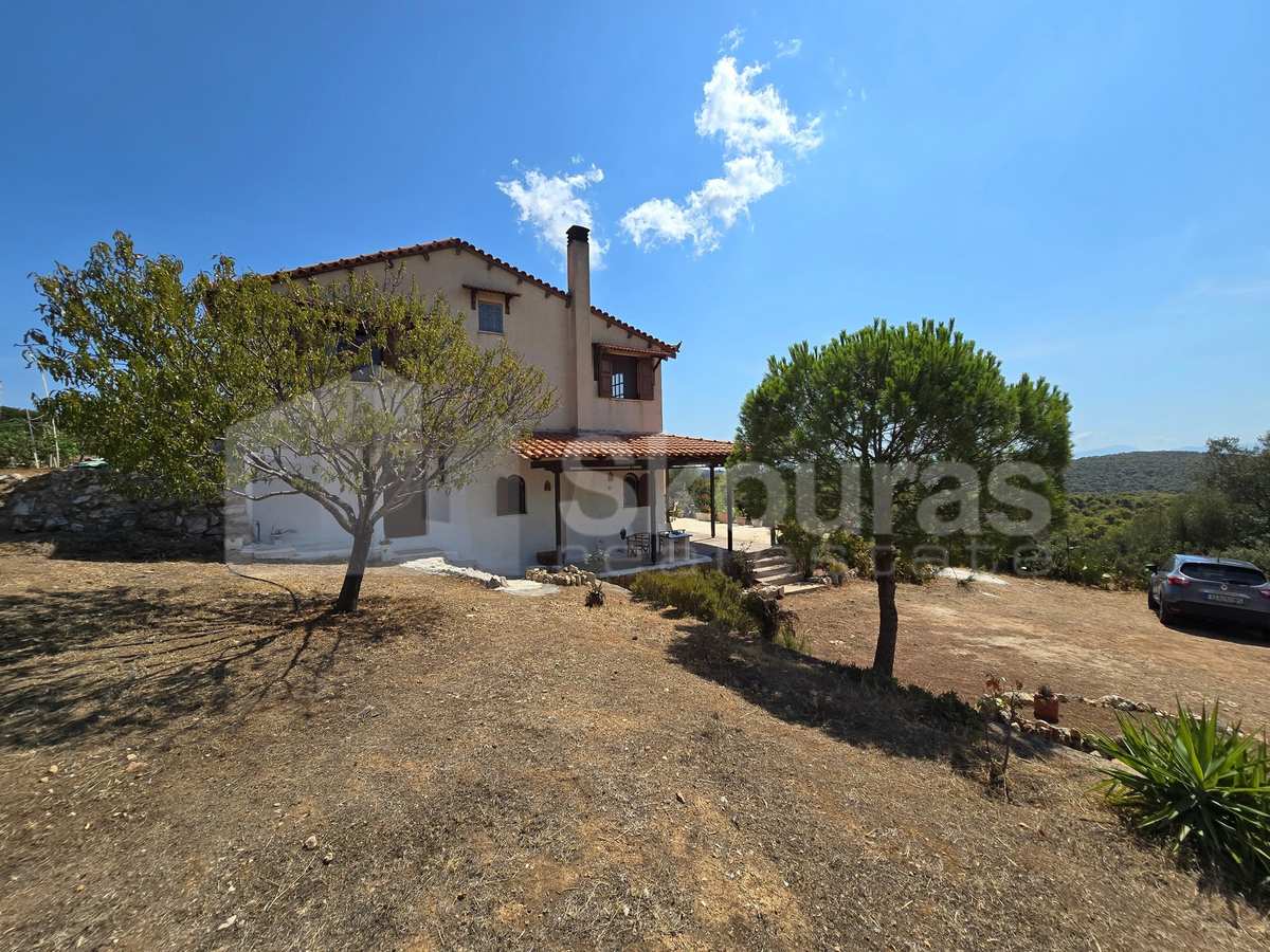 Property thumbnail 3