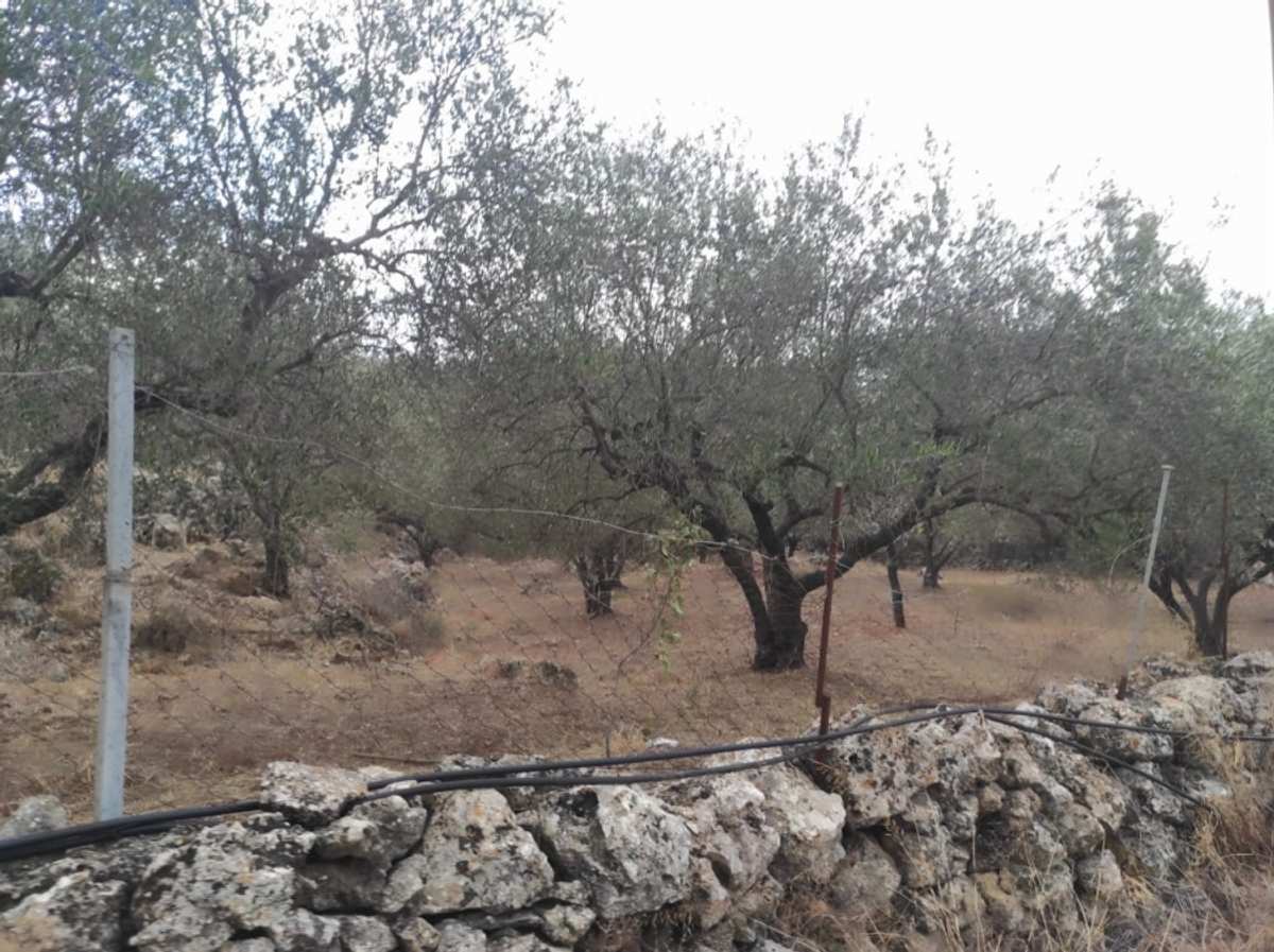 Property thumbnail 4