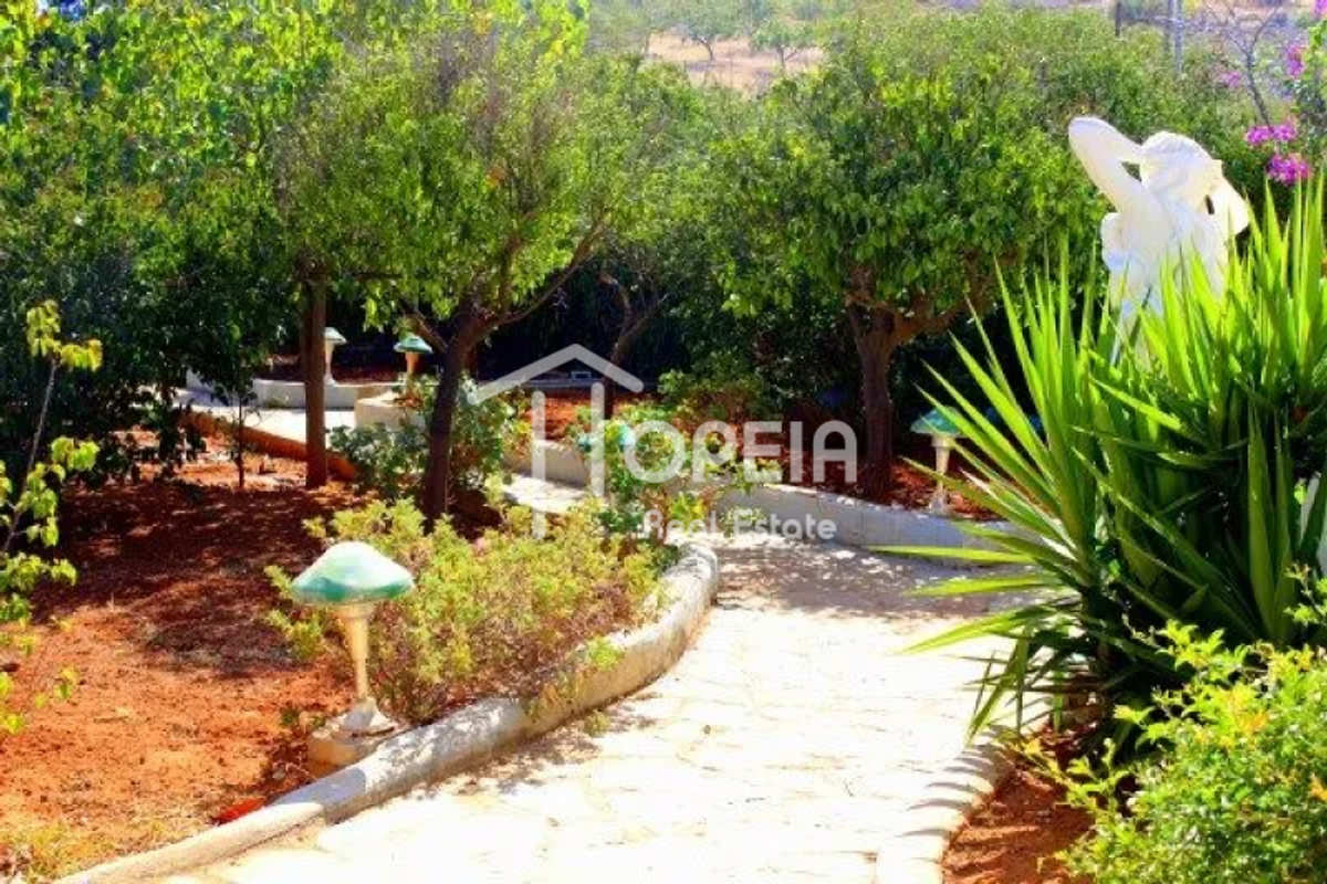 Property thumbnail 3