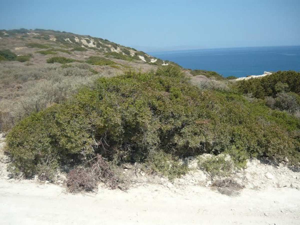 Property thumbnail 2