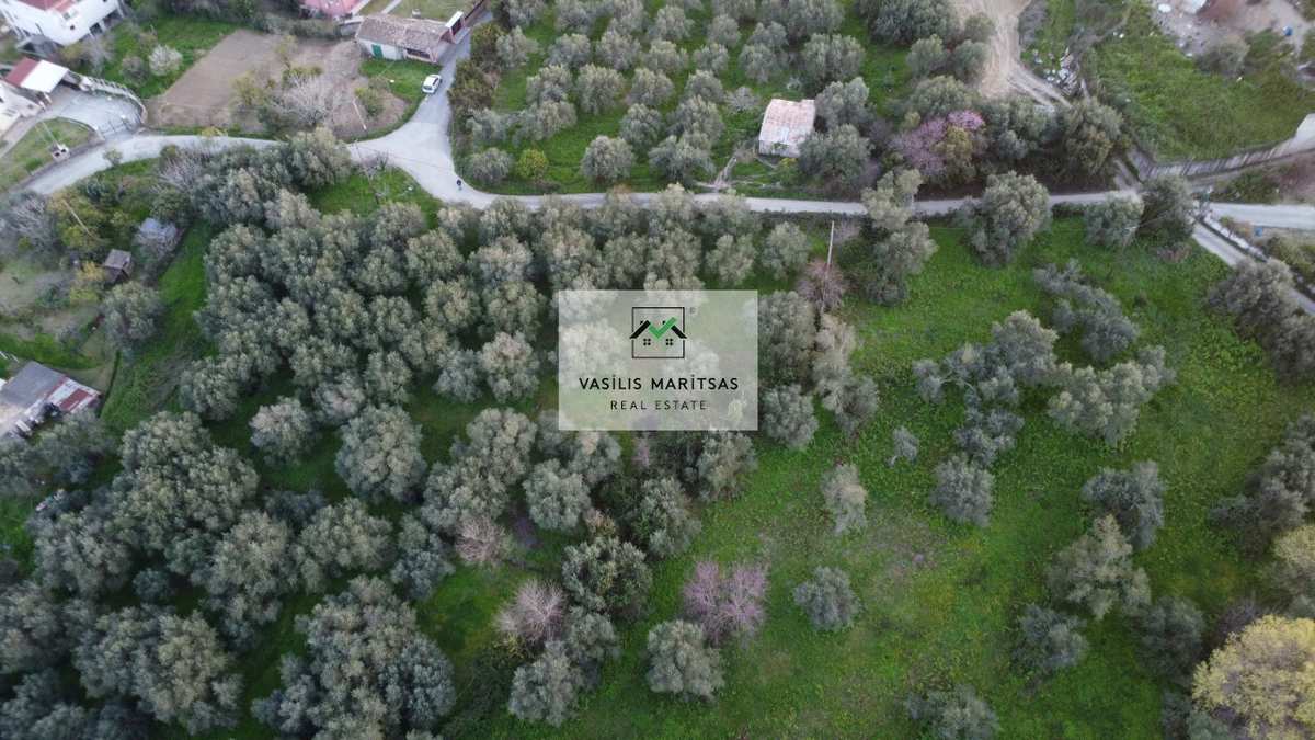 Property thumbnail 4