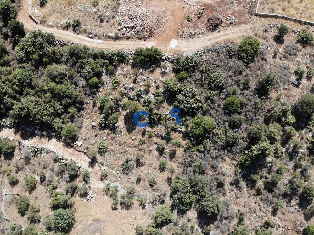 Property thumbnail 4