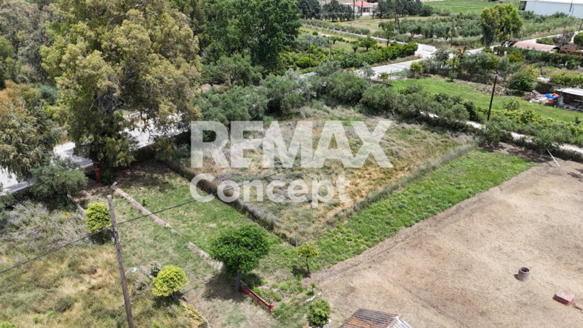 Property thumbnail 4