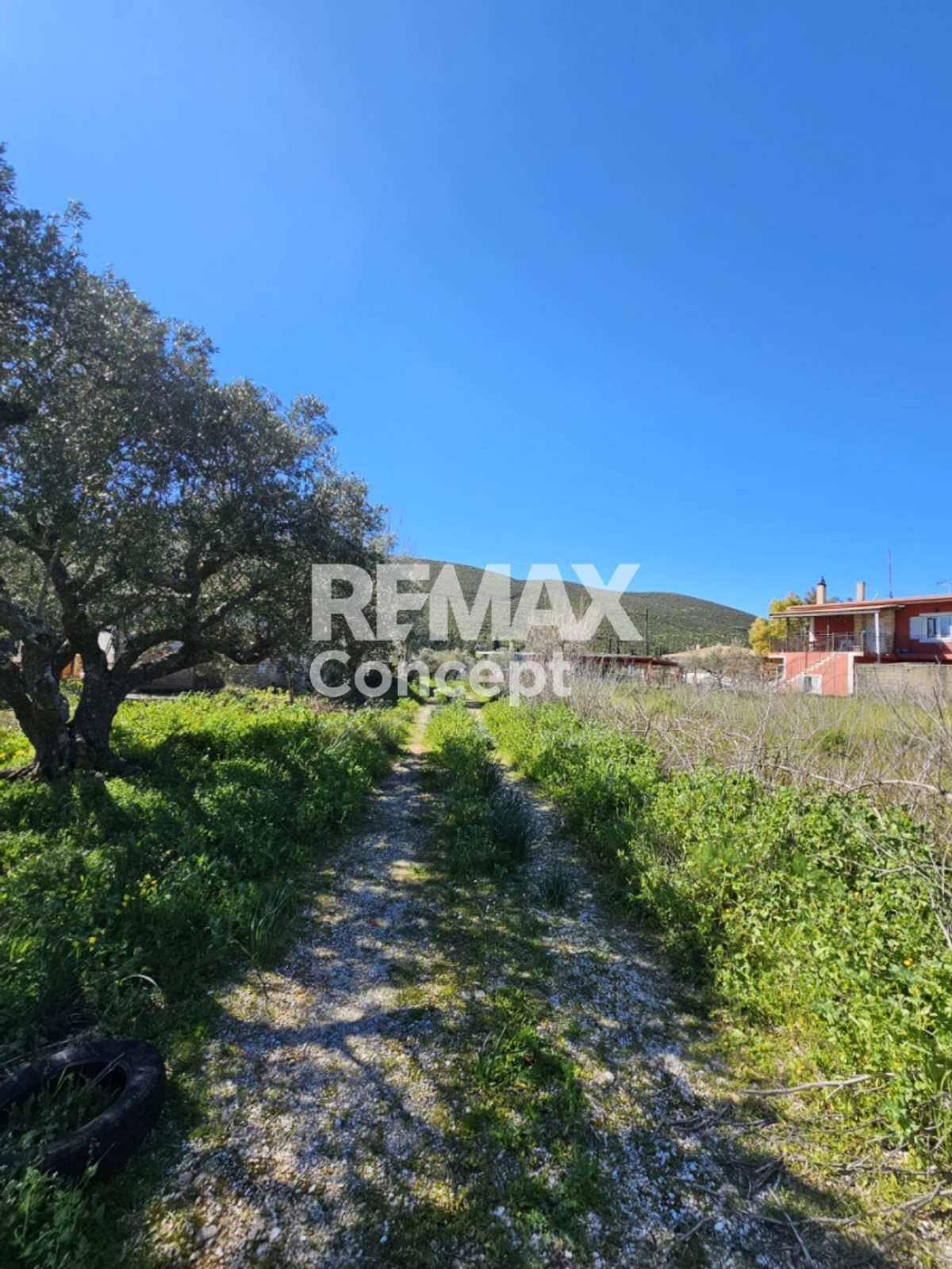 Property thumbnail 4