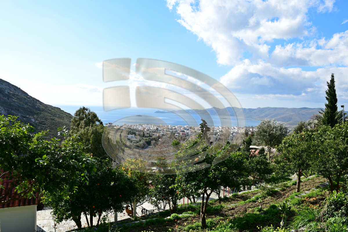 Property thumbnail 4