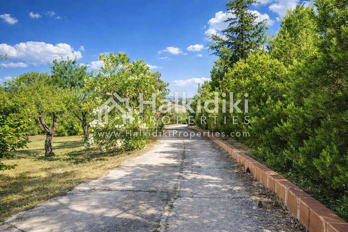 Property thumbnail 4