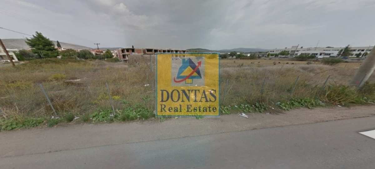 Property thumbnail 3