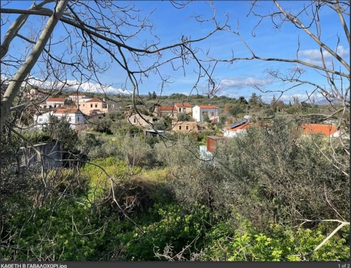 Property thumbnail 3