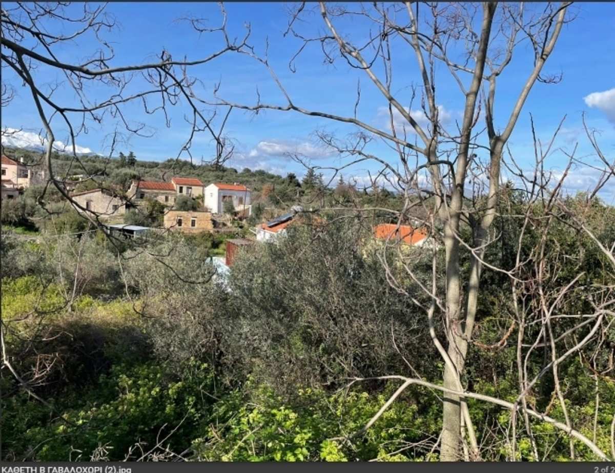 Property thumbnail 4