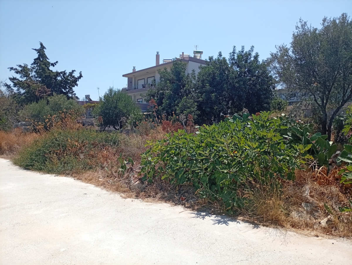 Property thumbnail 4