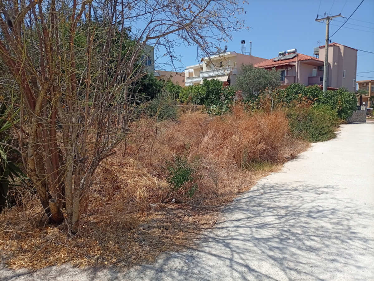 Property thumbnail 3