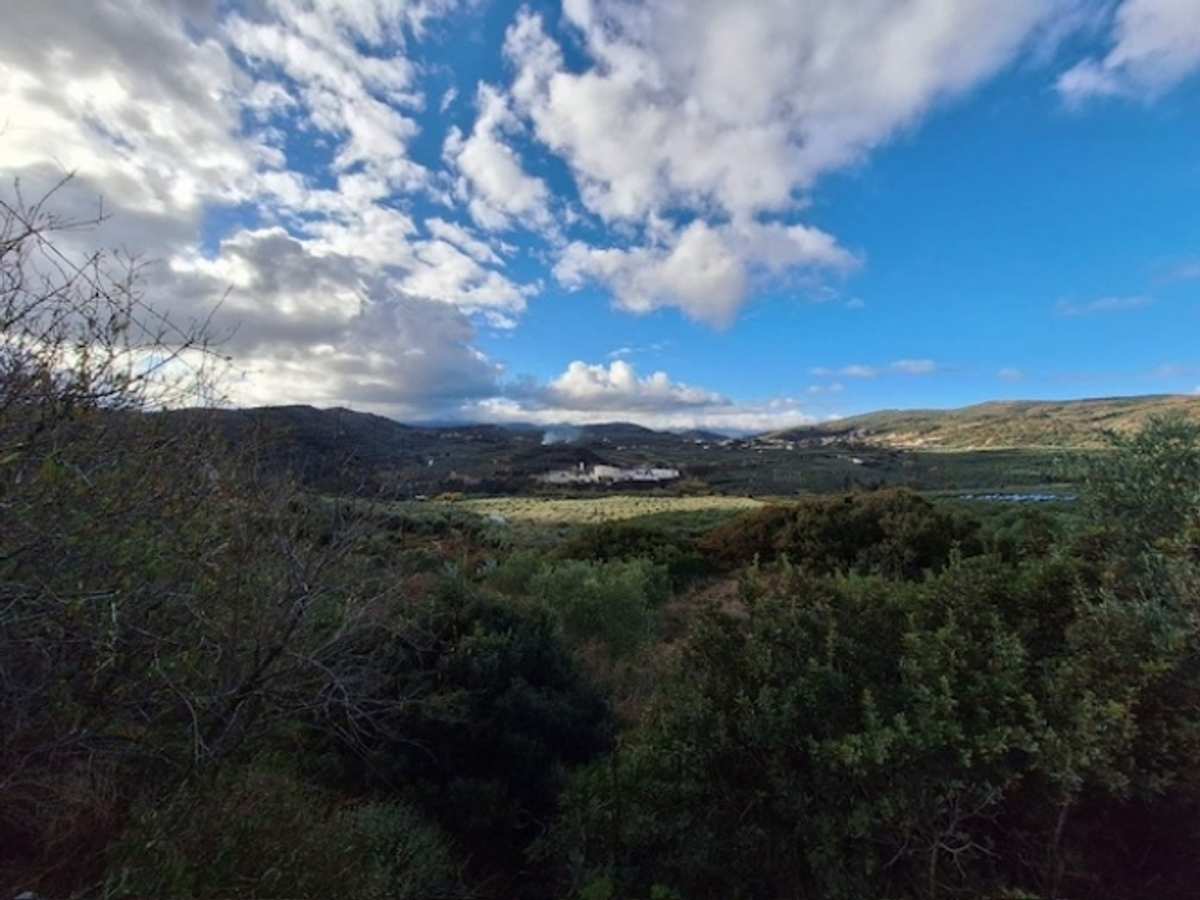 Property thumbnail 4