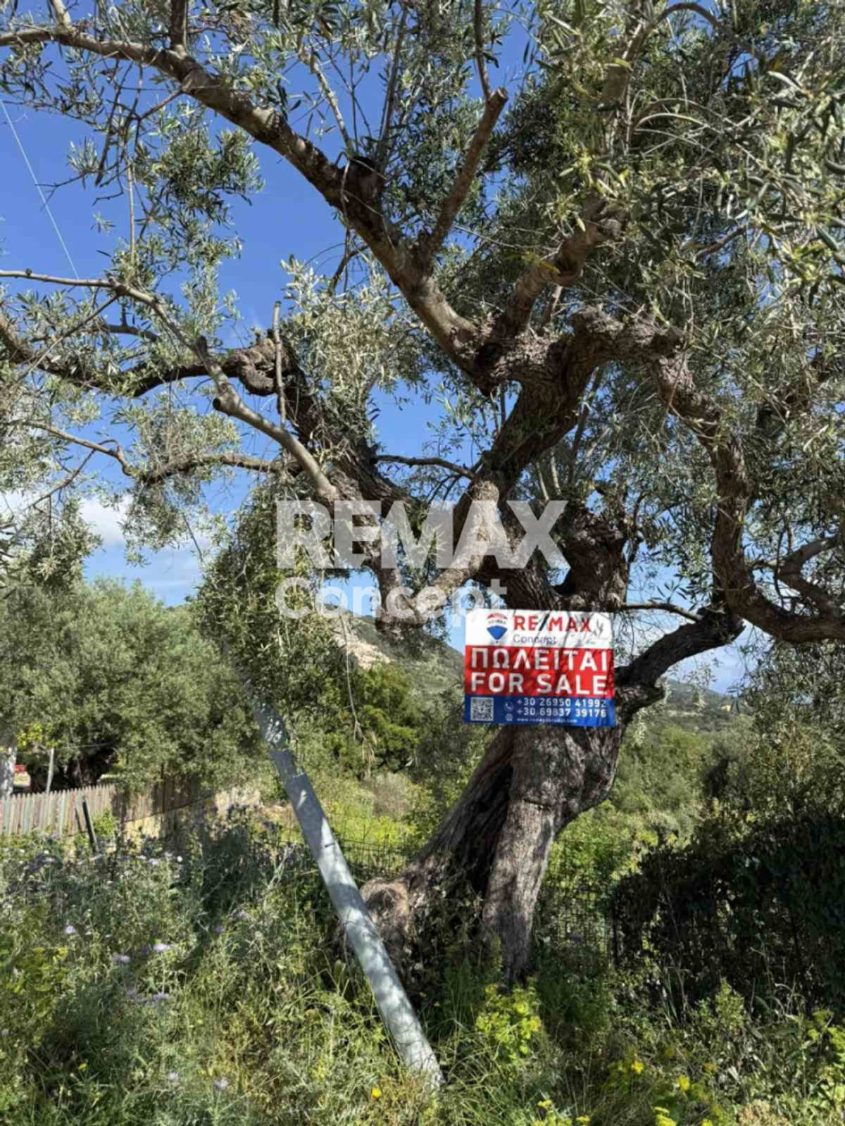 Property thumbnail 4