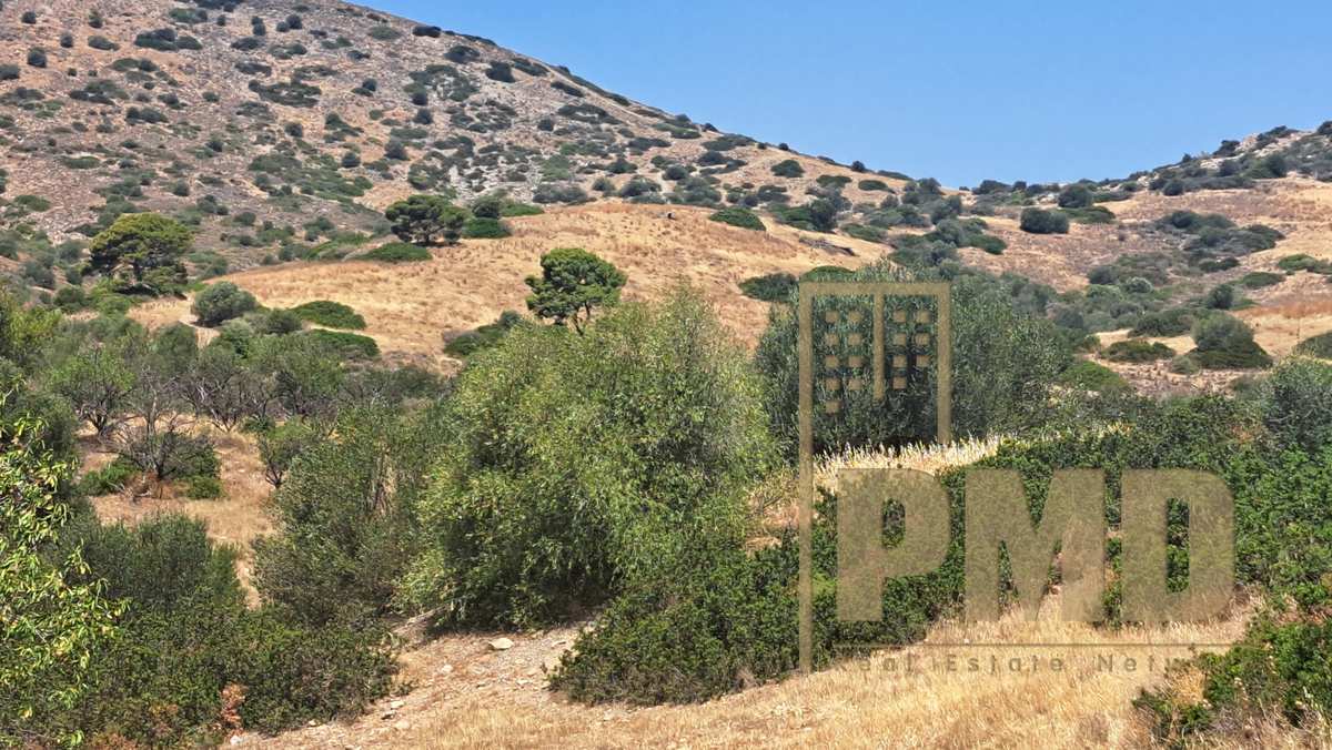 Property thumbnail 4