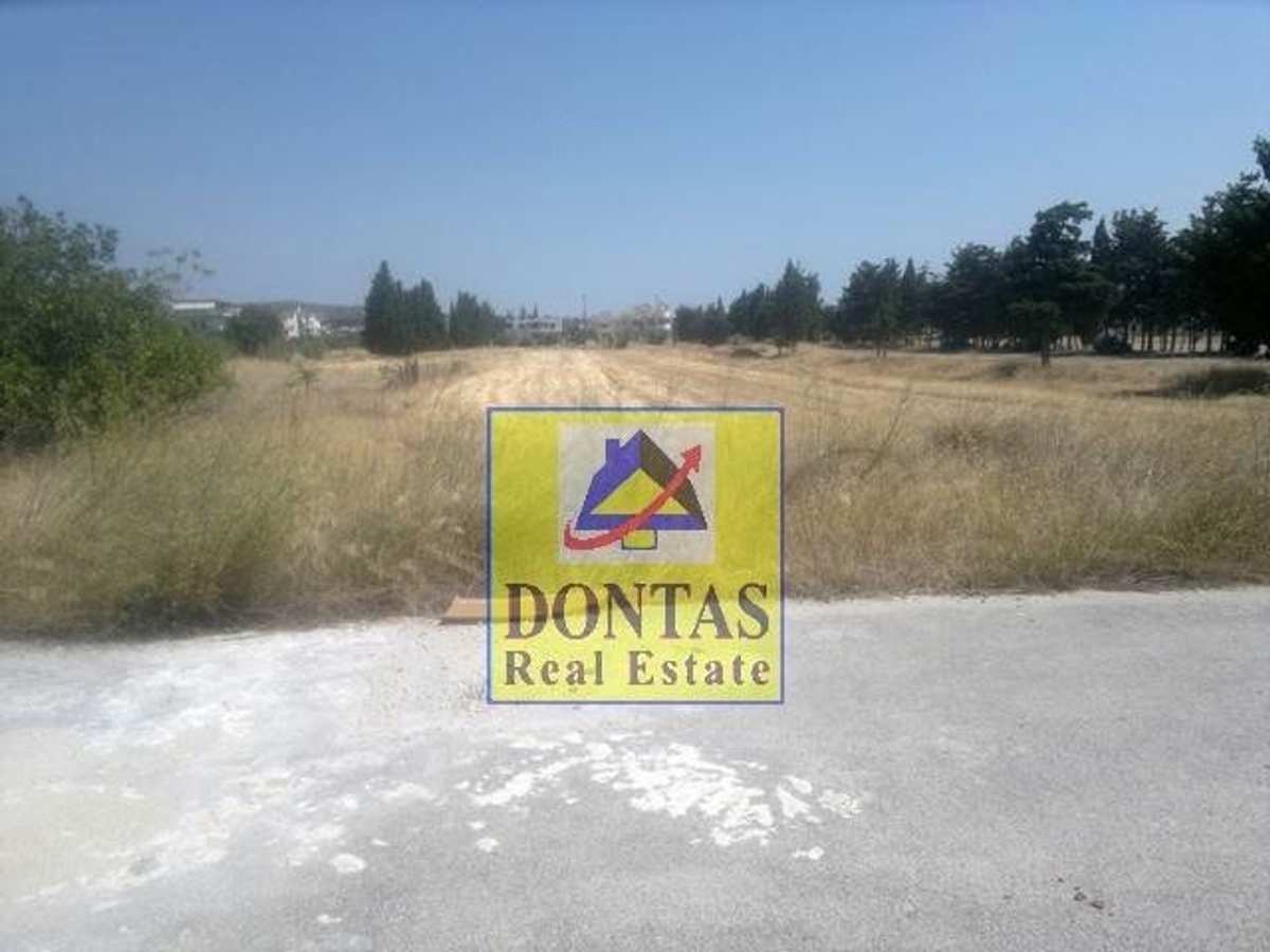 Property thumbnail 3