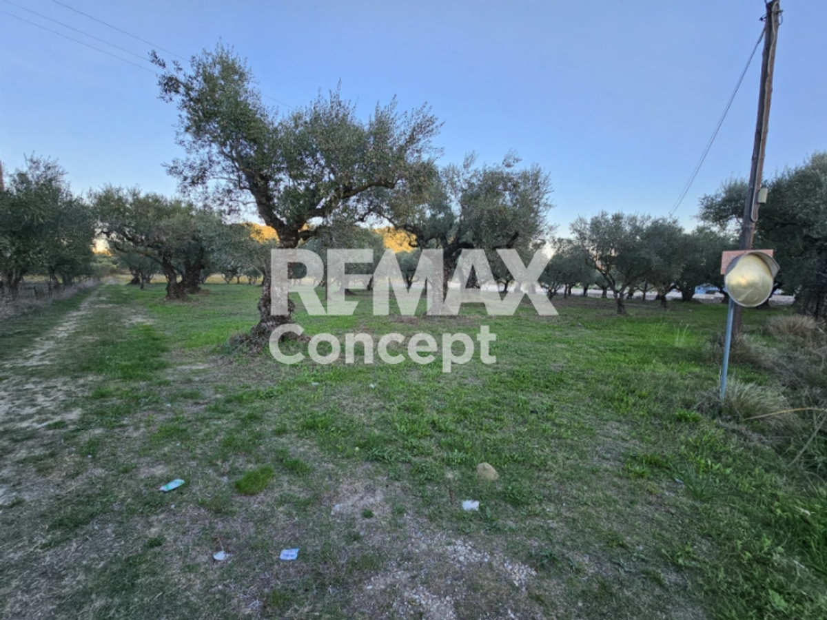 Property thumbnail 2